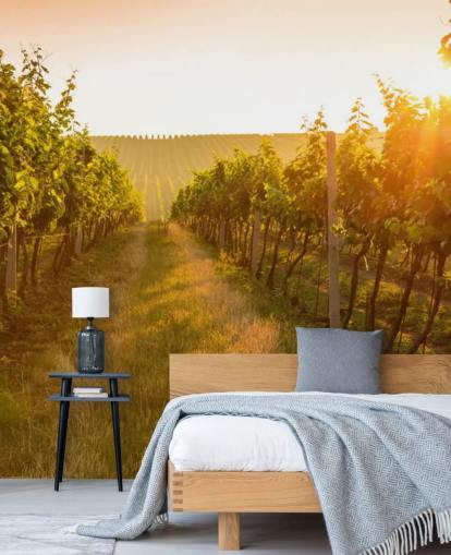 Sunrise over a vineyard mural