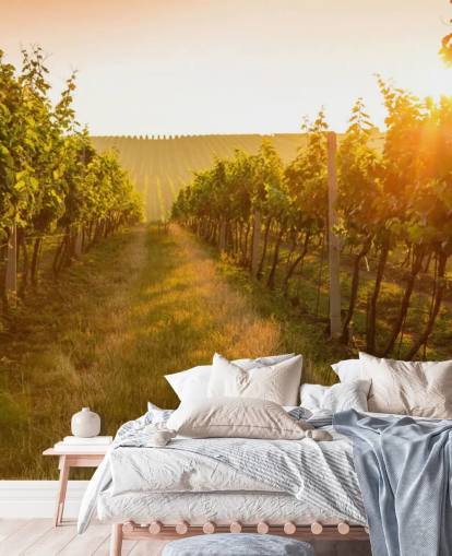 Sunrise over a vineyard mural Sunrise over a vineyard mural