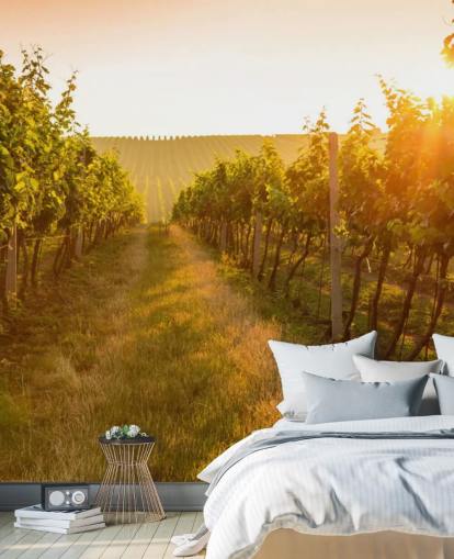 Sunrise over a vineyard mural Sunrise over a vineyard mural