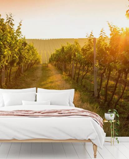 Sunrise over a vineyard mural
