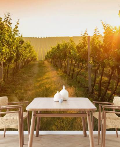 Sunrise over a vineyard mural Sunrise over a vineyard mural