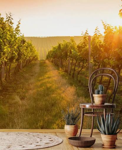 Sunrise over a vineyard mural