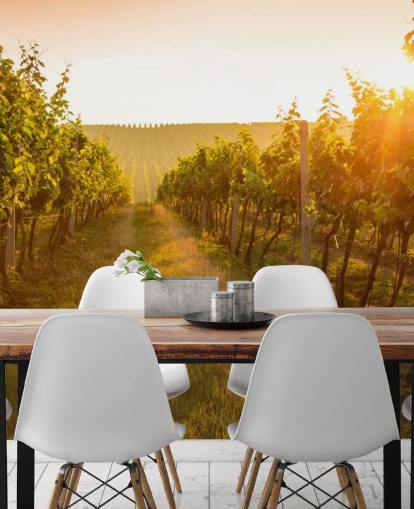 Sunrise over a vineyard mural