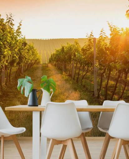 Sunrise over a vineyard mural