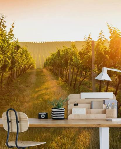 Sunrise over a vineyard mural