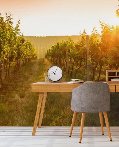 Sunrise over a vineyard mural