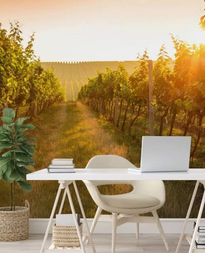 Sunrise over a vineyard mural