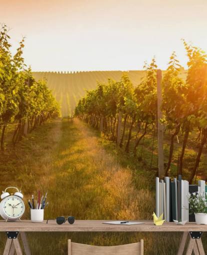 Sunrise over a vineyard mural