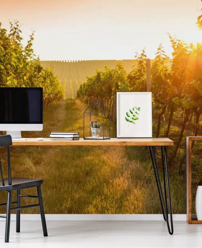 Sunrise over a vineyard mural
