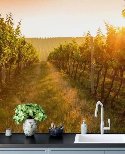 Sunrise over a vineyard mural