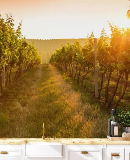 Sunrise over a vineyard mural Sunrise over a vineyard mural