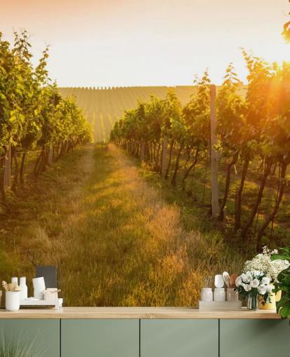 Sunrise over a vineyard mural