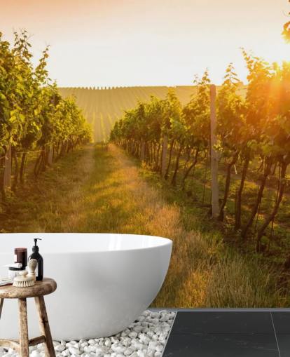 Sunrise over a vineyard mural