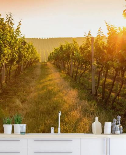 Sunrise over a vineyard mural