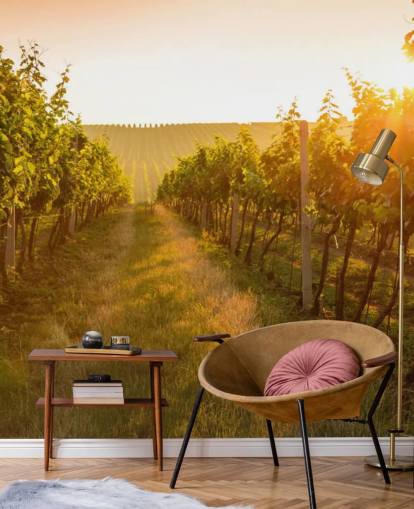 Sunrise over a vineyard mural Sunrise over a vineyard mural