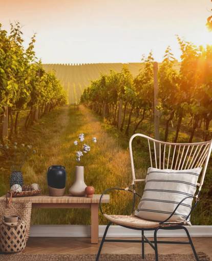 Sunrise over a vineyard mural