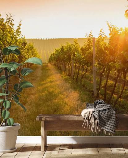 Sunrise over a vineyard mural