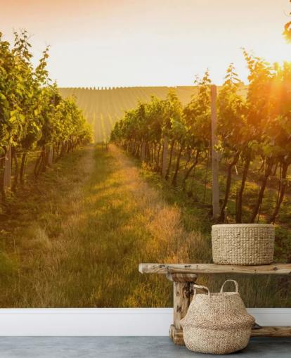 Sunrise over a vineyard mural Sunrise over a vineyard mural