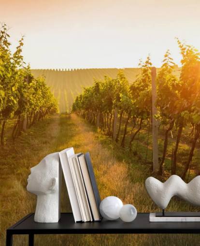 Sunrise over a vineyard mural Sunrise over a vineyard mural