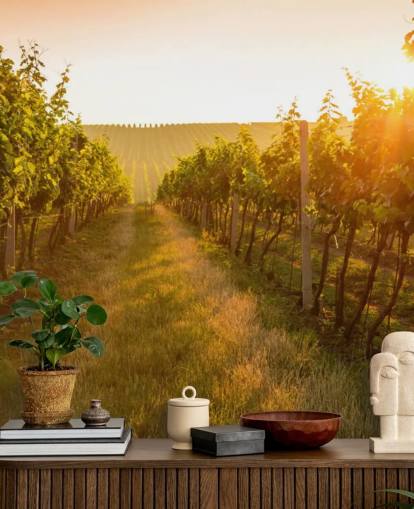 Sunrise over a vineyard mural