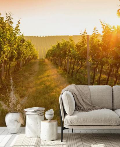 Sunrise over a vineyard mural Sunrise over a vineyard mural