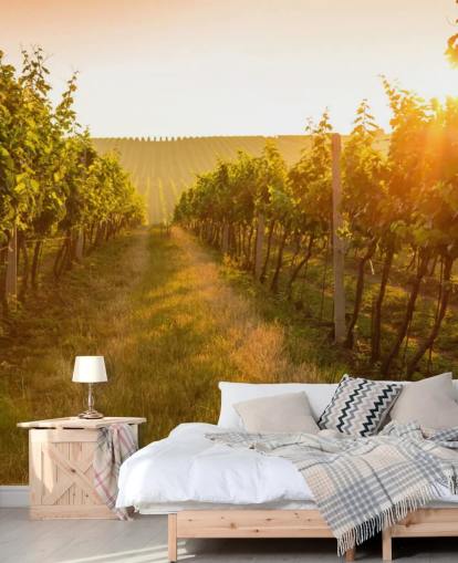 Sunrise over a vineyard mural