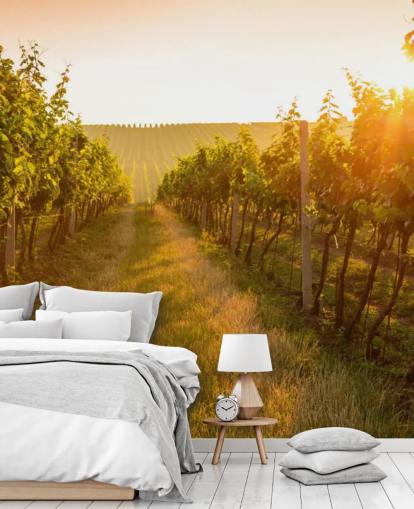 Sunrise over a vineyard mural Sunrise over a vineyard mural