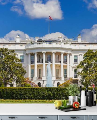 The White House The White House Wallpaper 