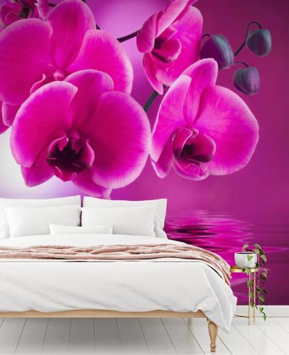 rosa anpassningsbar blommig tapetväggmålning kallad Pink Orchids för spa, hotell och badrum