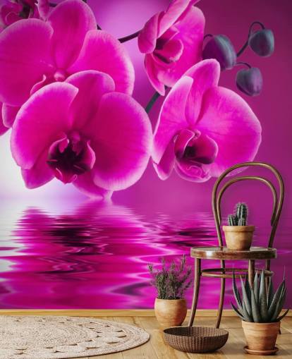 lyserødt tilpasseligt blomstertapet vægmaleri kaldet Pink Orchids til kurbade, hoteller og badeværelser