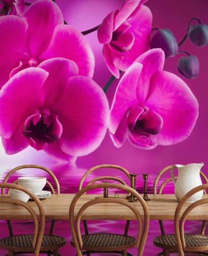 carta da parati floreale rosa personalizzabile chiamata Pink Orchids per spa, hotel e bagni