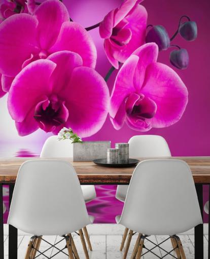 mural de papel de parede floral personalizável rosa chamado Pink Orchids para spas, hotéis e banheiros