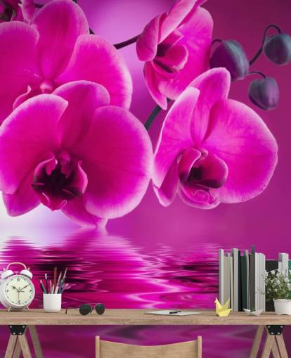Rosafarbenes personalisierbares Blumentapeten-Wandbild namens Pink Orchids für Spas, Hotels und Badezimmer Rosafarbenes personalisierbares Blumentapeten-Wandbild namens Pink Orchids für Spas, Hotels und Badezimmer