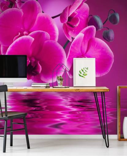 roze aanpasbare bloemenbehangmuurschildering genaamd Pink Orchids voor spa's, hotels en badkamers roze aanpasbare bloemenbehangmuurschildering genaamd Pink Orchids voor spa's, hotels en badkamers