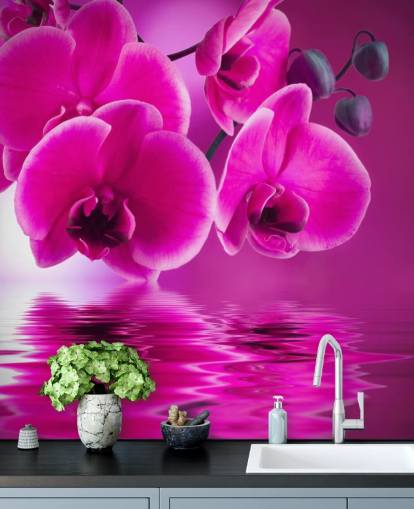 papier peint floral rose personnalisable appelé Pink Orchids pour les spas, les hôtels et les salles de bains papier peint floral rose personnalisable appelé Pink Orchids pour les spas, les hôtels et les salles de bains