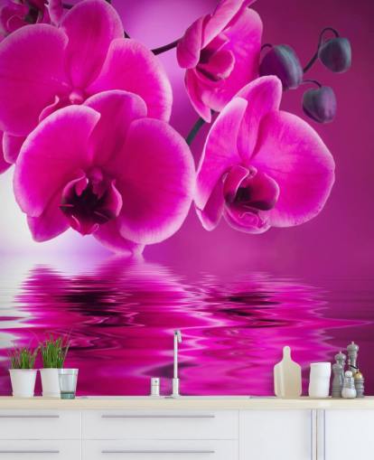 carta da parati floreale rosa personalizzabile chiamata Pink Orchids per spa, hotel e bagni