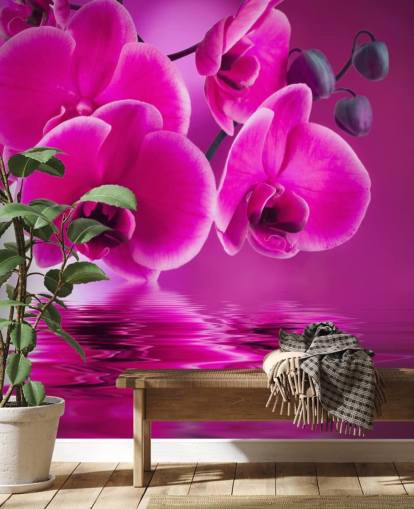 carta da parati floreale rosa personalizzabile chiamata Pink Orchids per spa, hotel e bagni