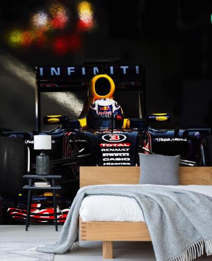 F1 Daniel Ricciardo Wallpaper