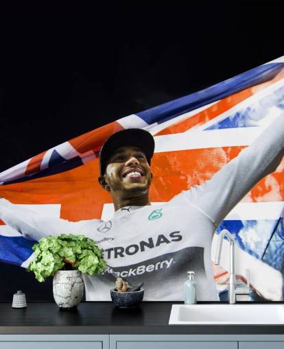 customizable Lewis Hamilton wallpaper mural called Lewis Hamilton Abu Dhabi 14