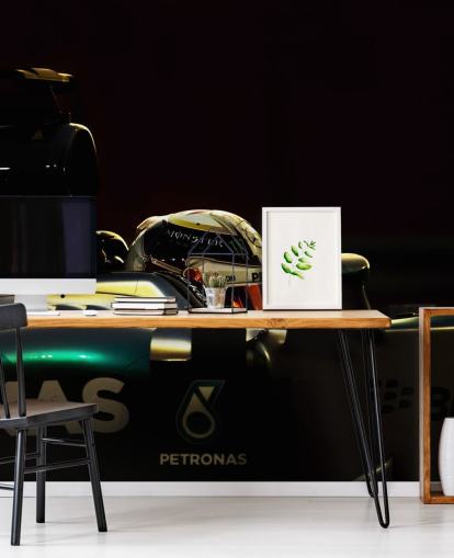 F1-stuurprogramma achtergrond