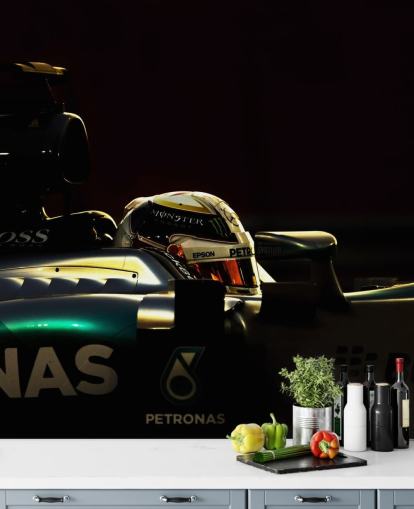 F1 Driver Baggrund F1 Driver Baggrund