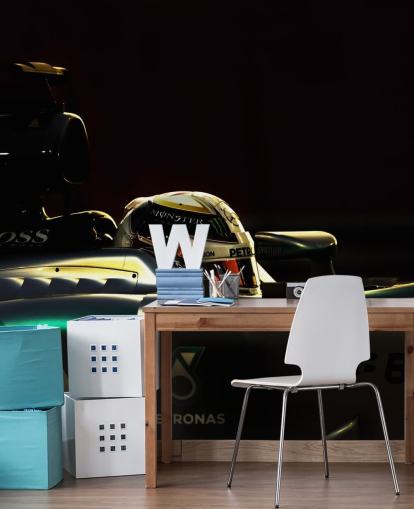 Fond d'écran F1 Driver