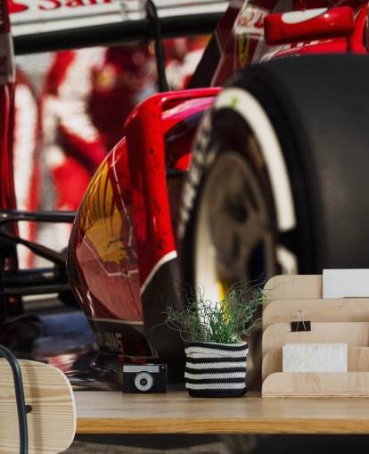 Papier Peint Fresque Sebastian Vettel Chine 15