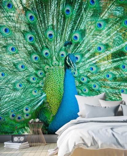 Portrait of Peacock with Feathers Out Mural Portrait of Peacock with Feathers Out Mural