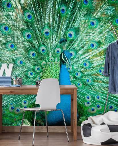 Portrait von Peacock mit Federn heraus Wandbild Portrait von Peacock mit Federn heraus Wandbild