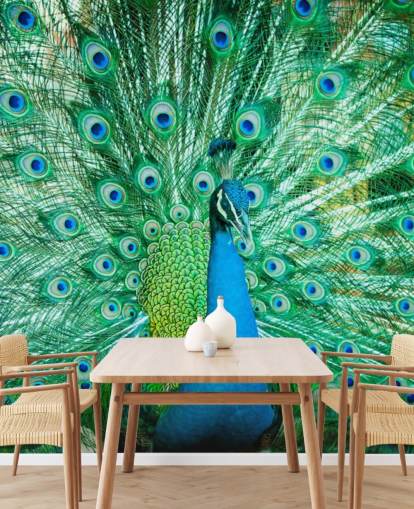 Mural Retrato de pavo real con plumas 