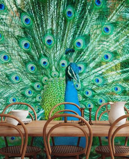 Portrait von Peacock mit Federn heraus Wandbild 