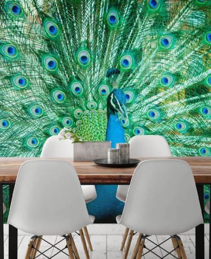 Portrait von Peacock mit Federn heraus Wandbild 