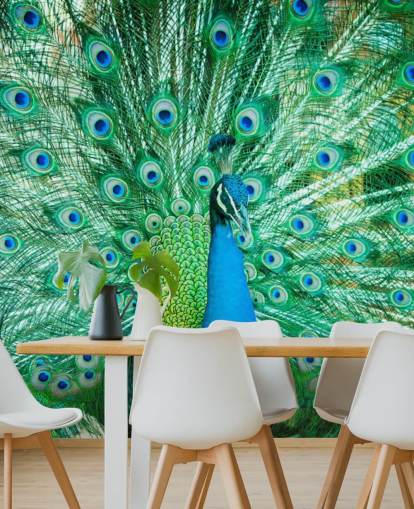 Retrato de pavão com penas para fora Mural 