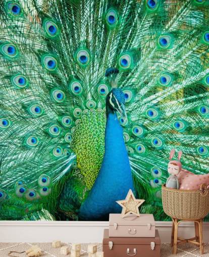 Portrait of Peacock with Feathers Out Mural 